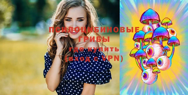 метадон Ладушкин