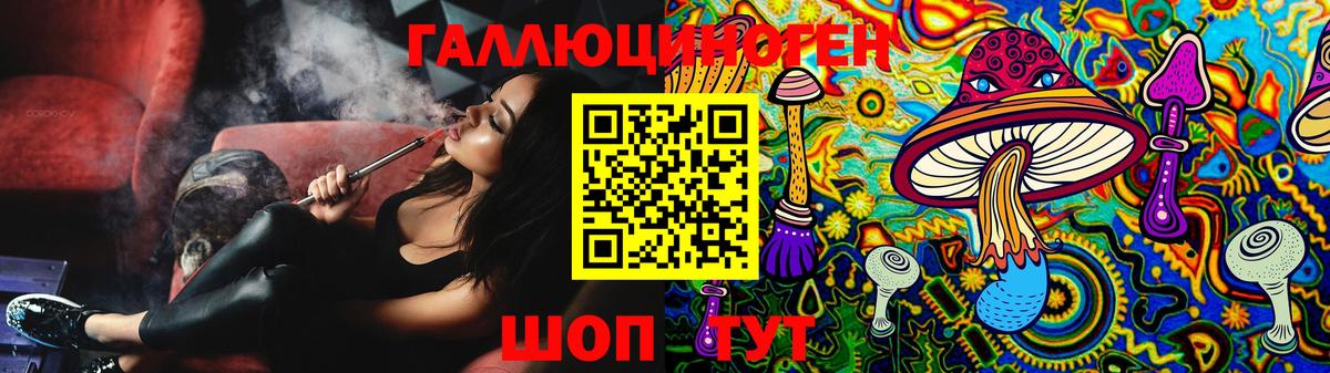 Псилоцибиновые грибы мицелий  Псилоцибиновые грибы Psilocybe  Лесной  Вход с VPN 
